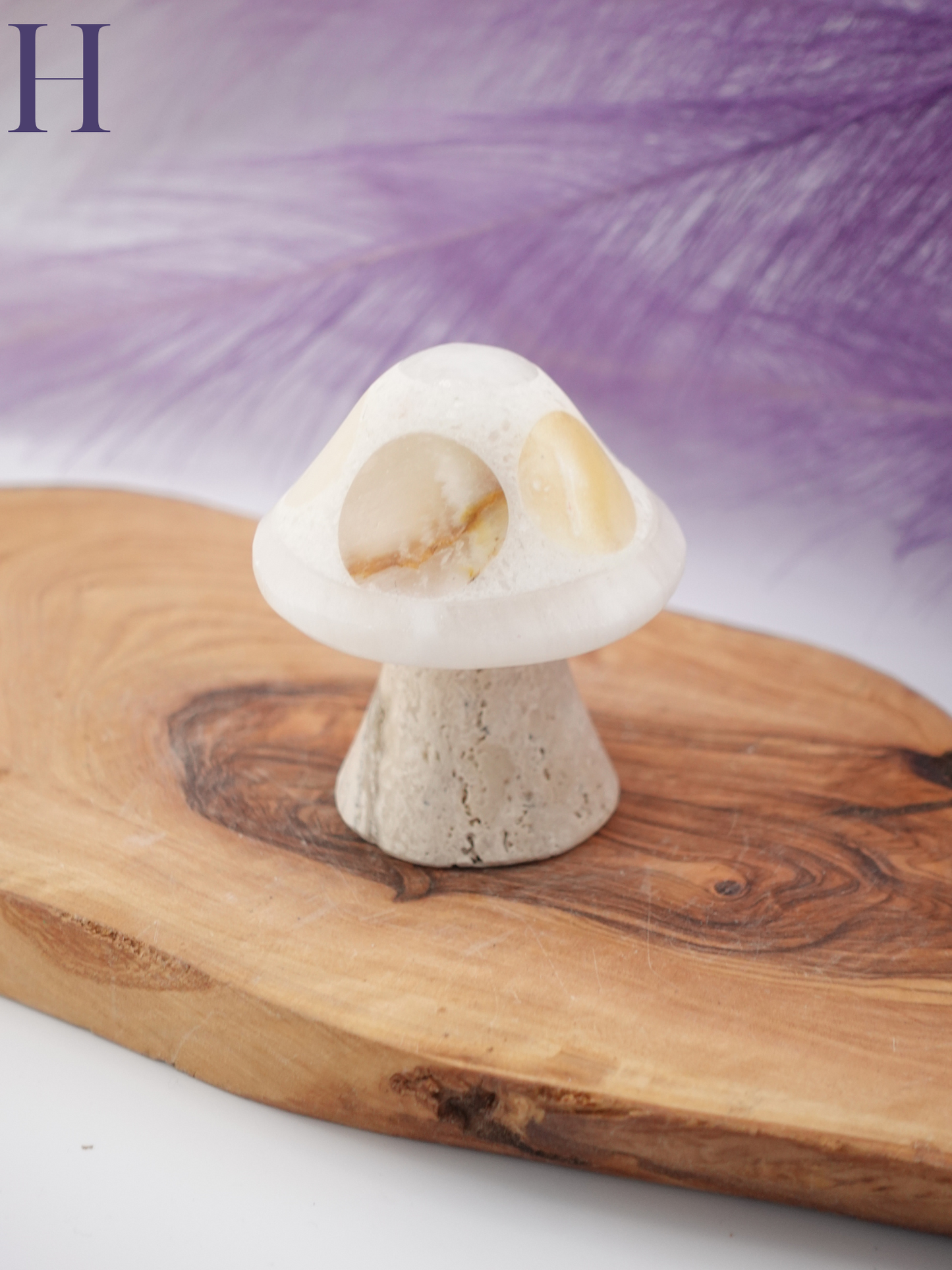 Banded calcite mushroom option H on wooden display stand