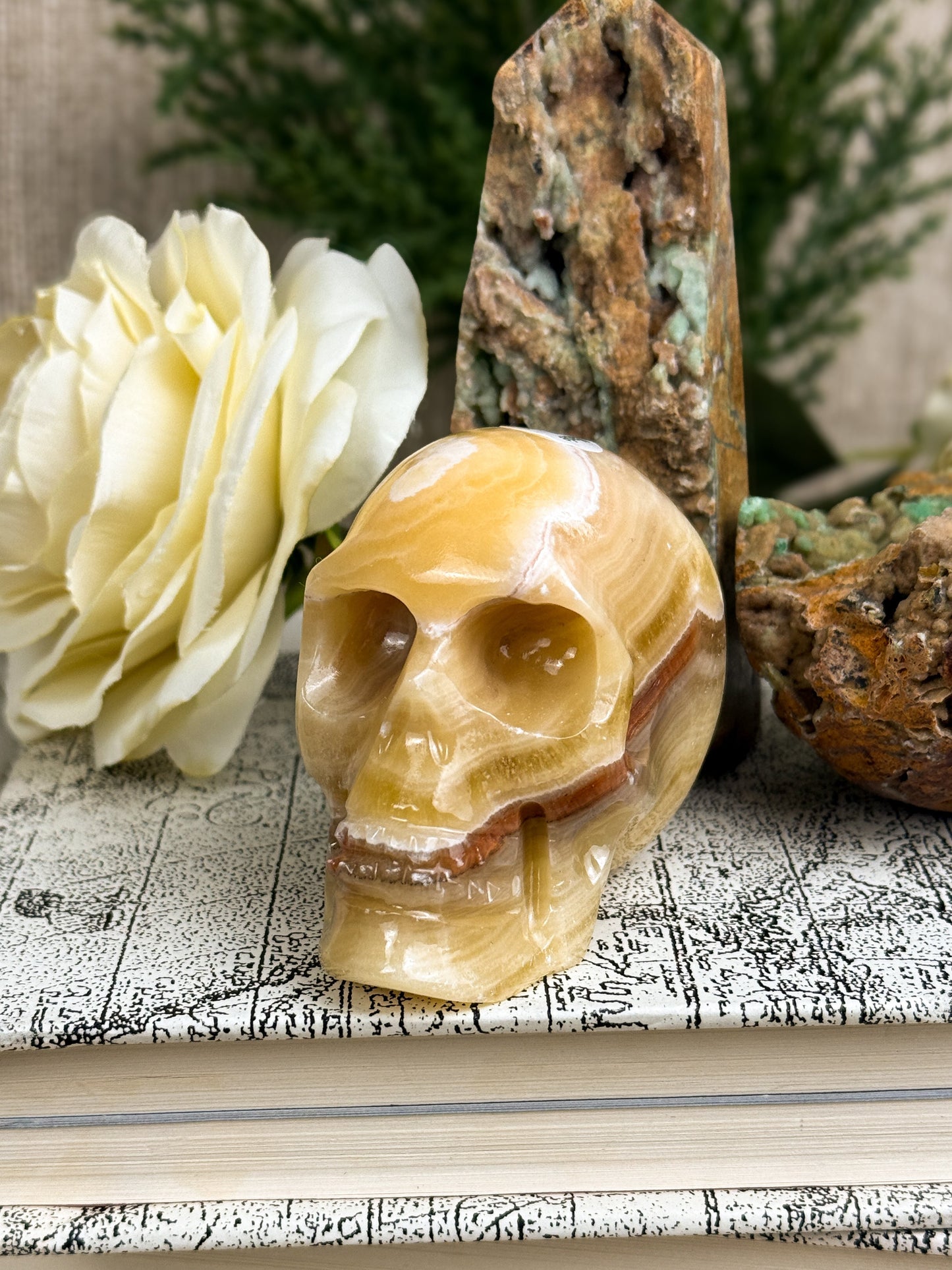 Banded Calcite Skulls