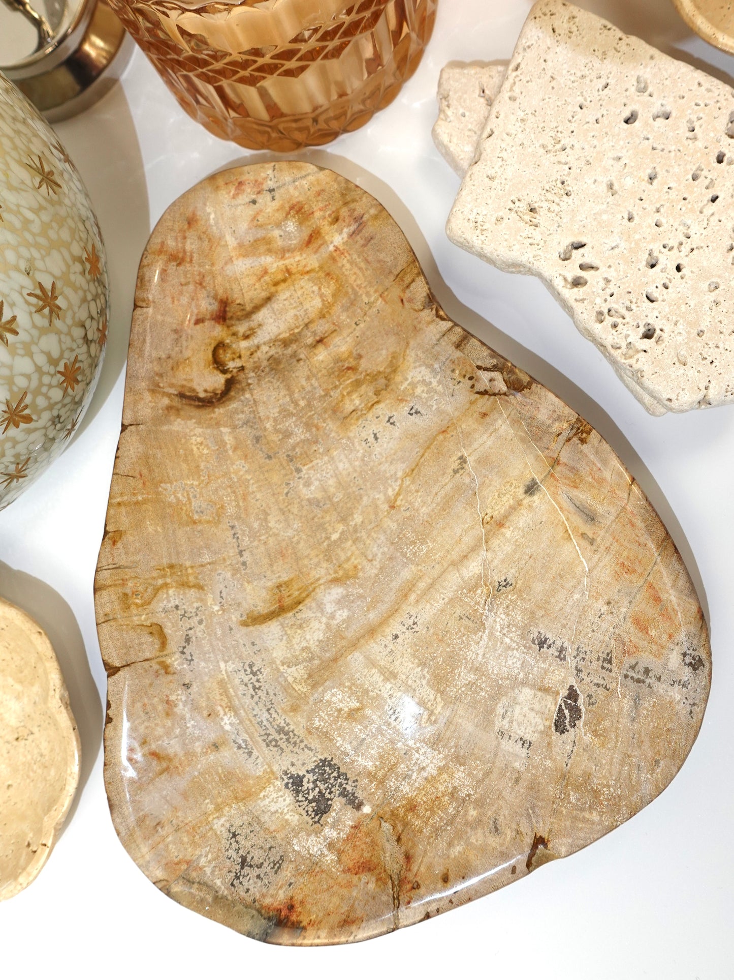 Petrified Wood Freeform Dish