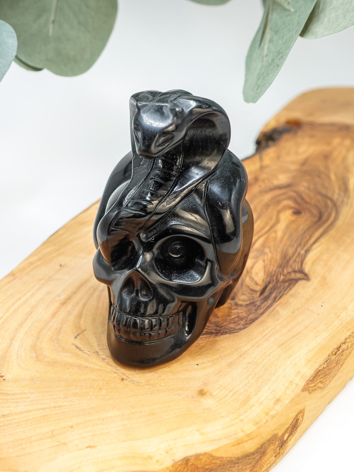 Black Obsidian Skull & Cobra Carving
