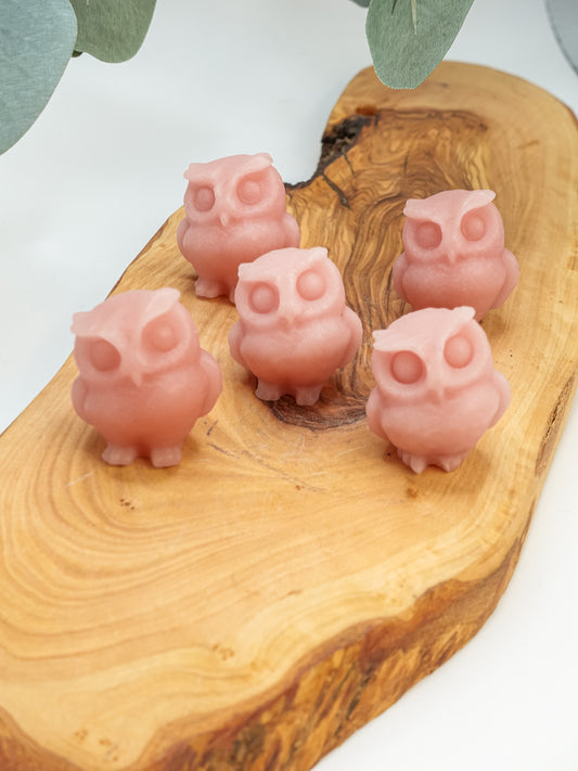 Pink Owl Carving