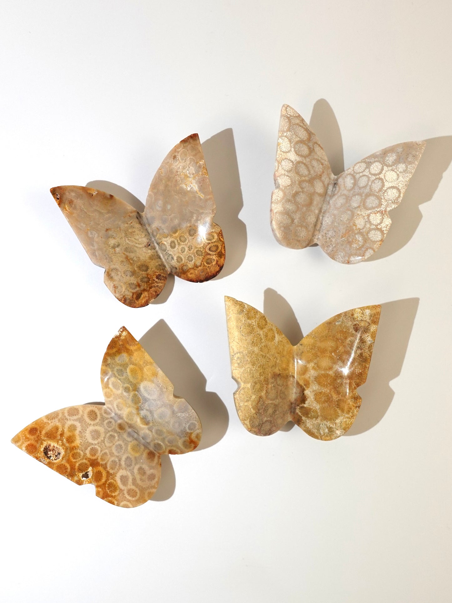4 Coral Jade 3D Butterflies on white background