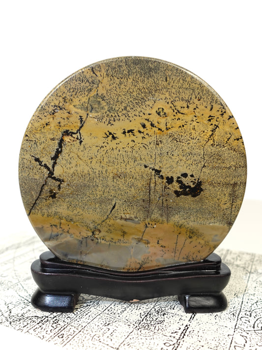 picture jasper slab on white decorative background