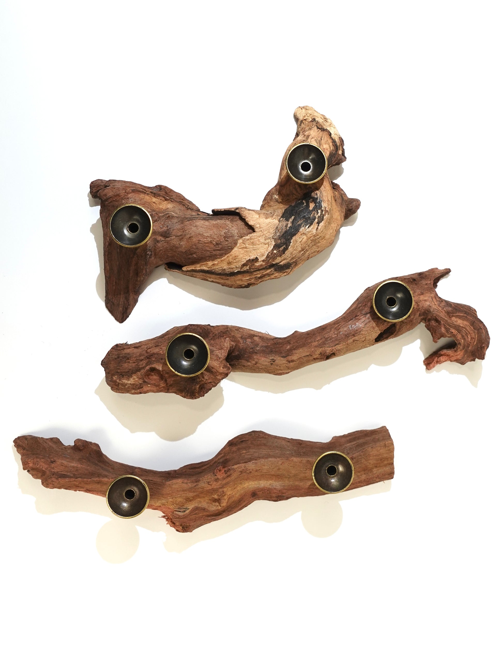 Driftwood with embedded metal holders on a white background