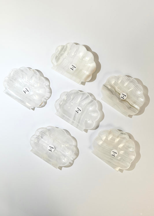 Banded Calcite shell dishes on white background