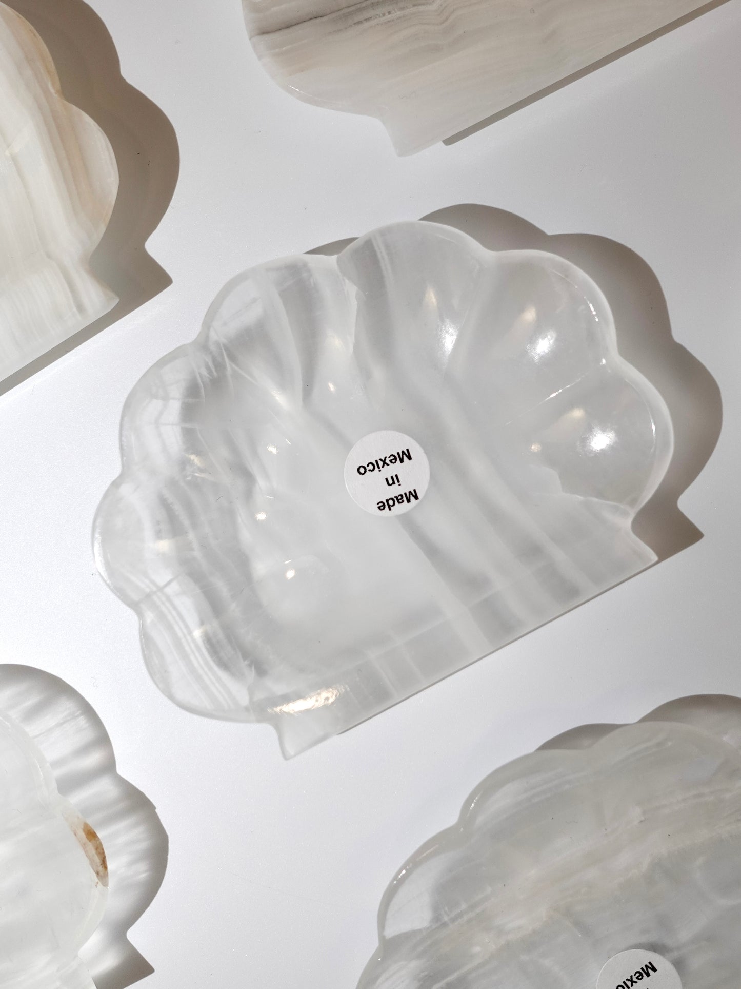 Banded Calcite shell dishes on white background