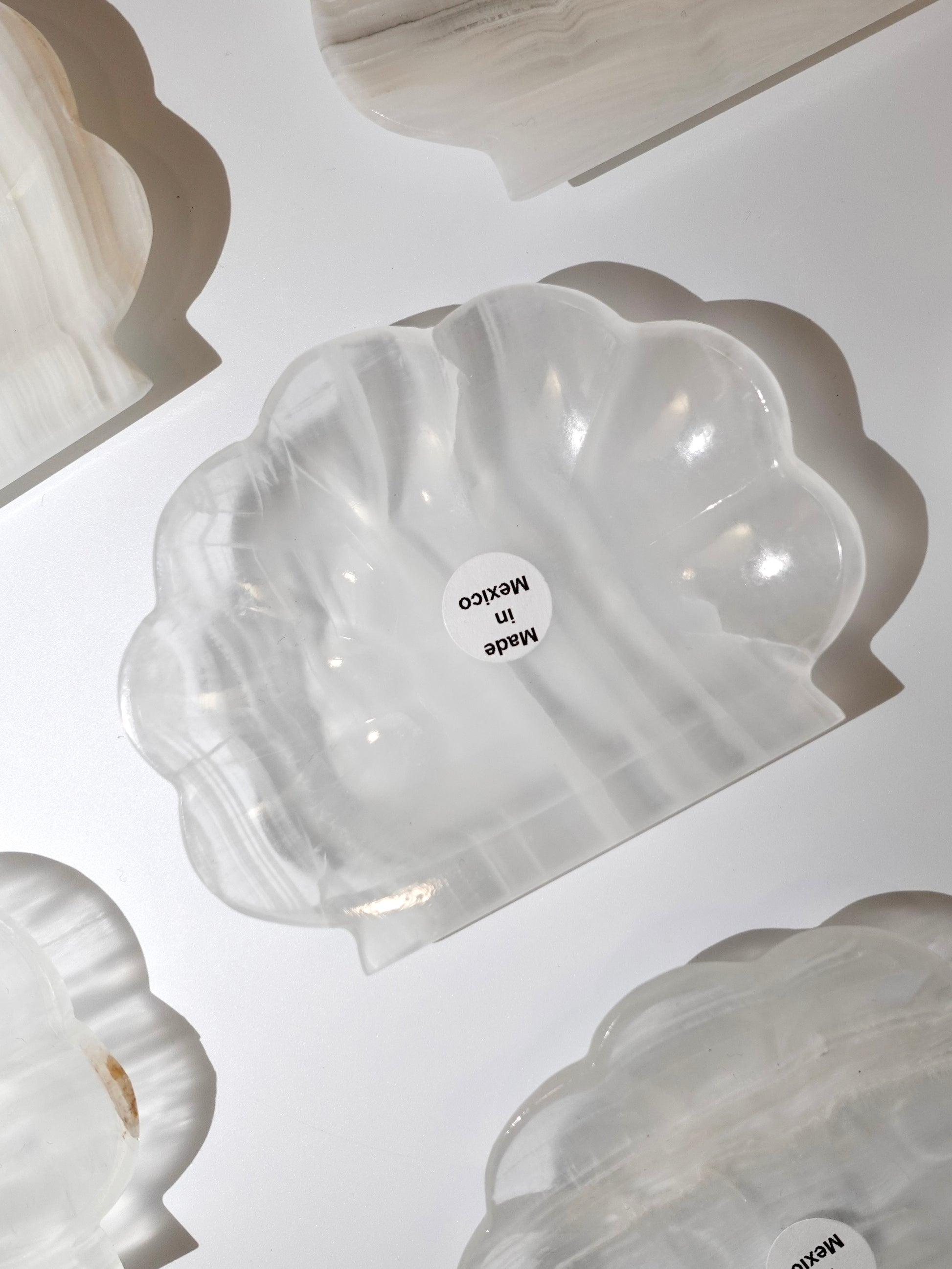 Banded Calcite shell dishes on white background