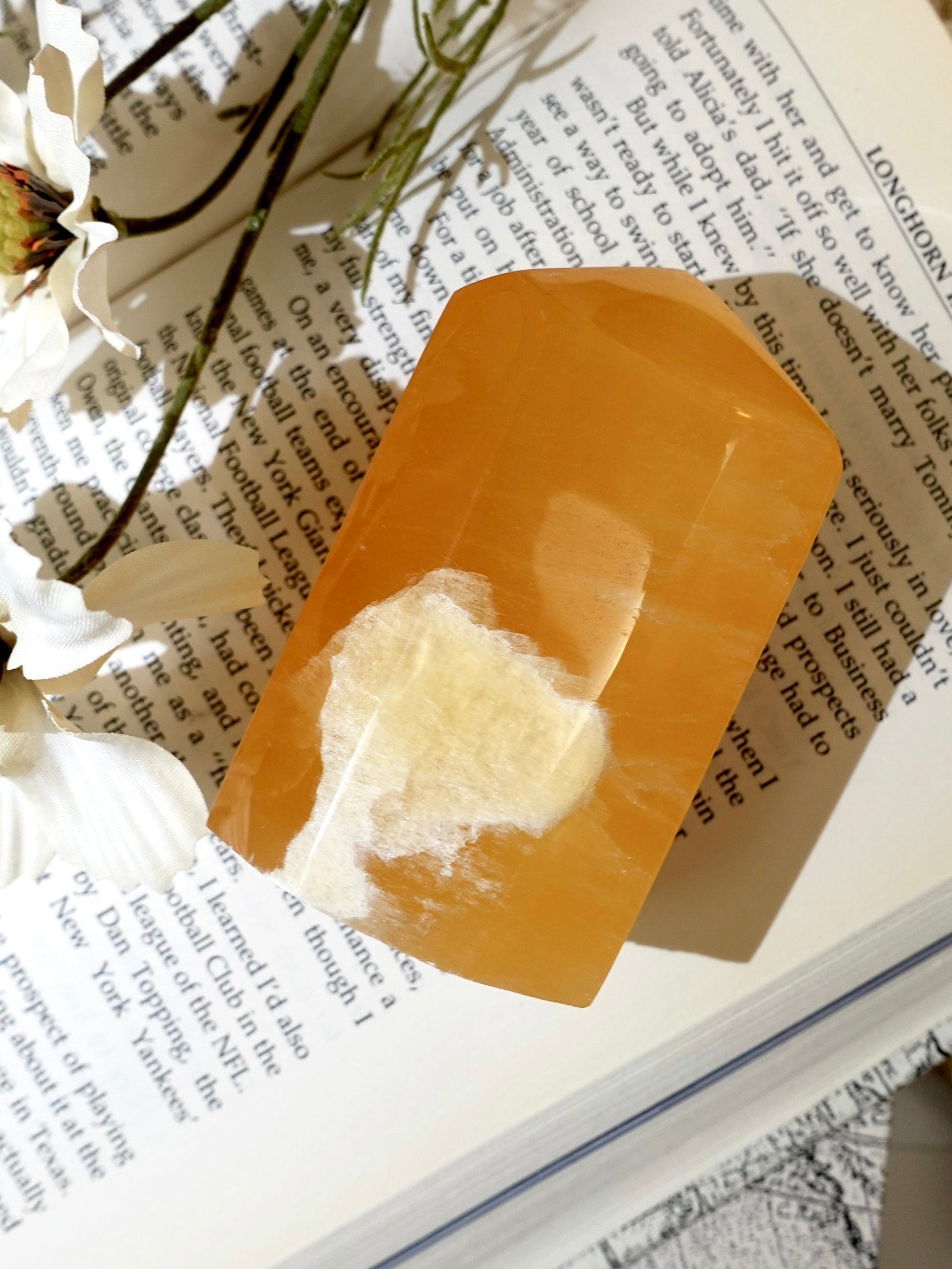Honeycomb calcite tower on white and black book background with flower for decor