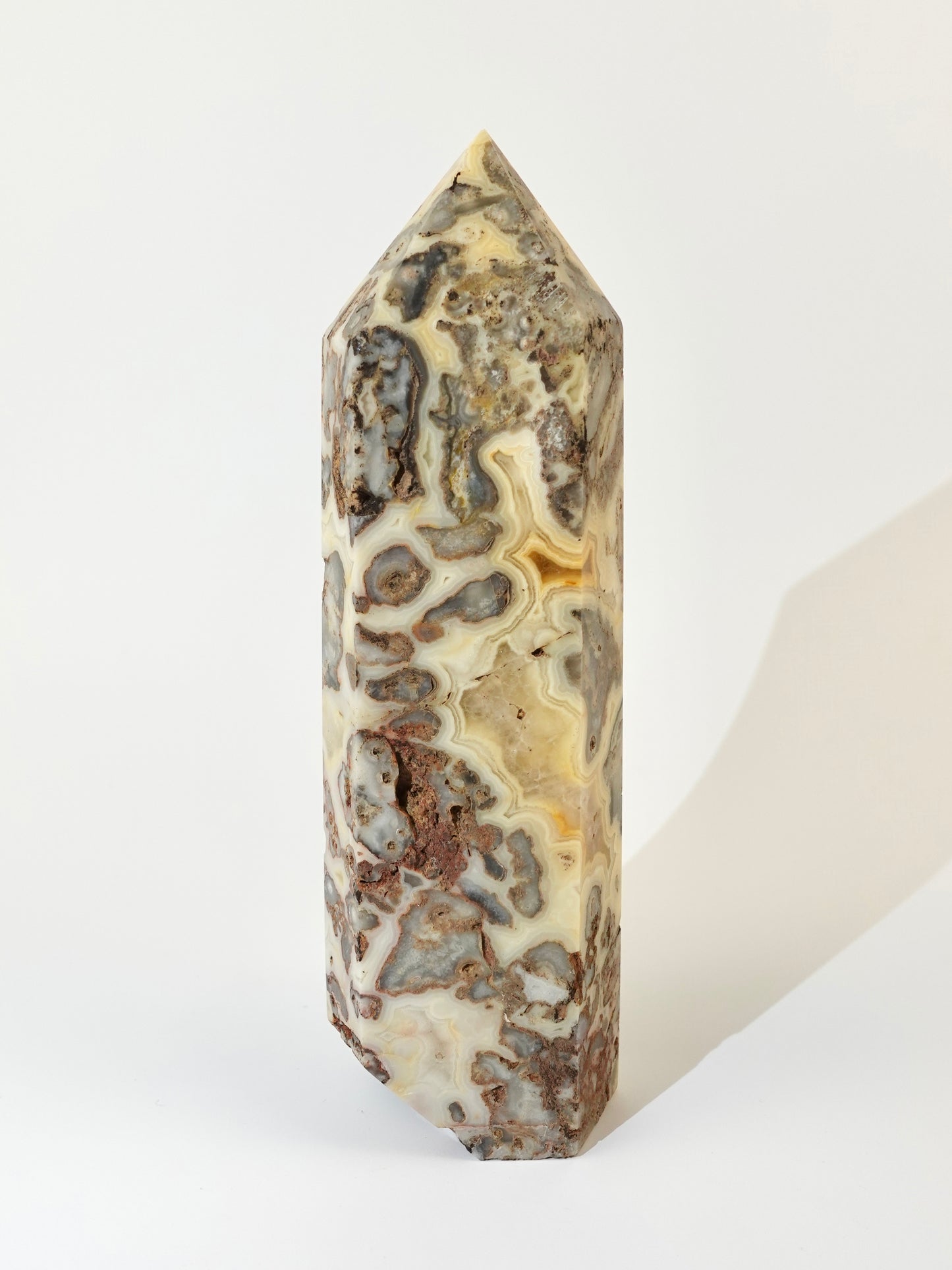 Crazy Lace Tower on white background Option A back