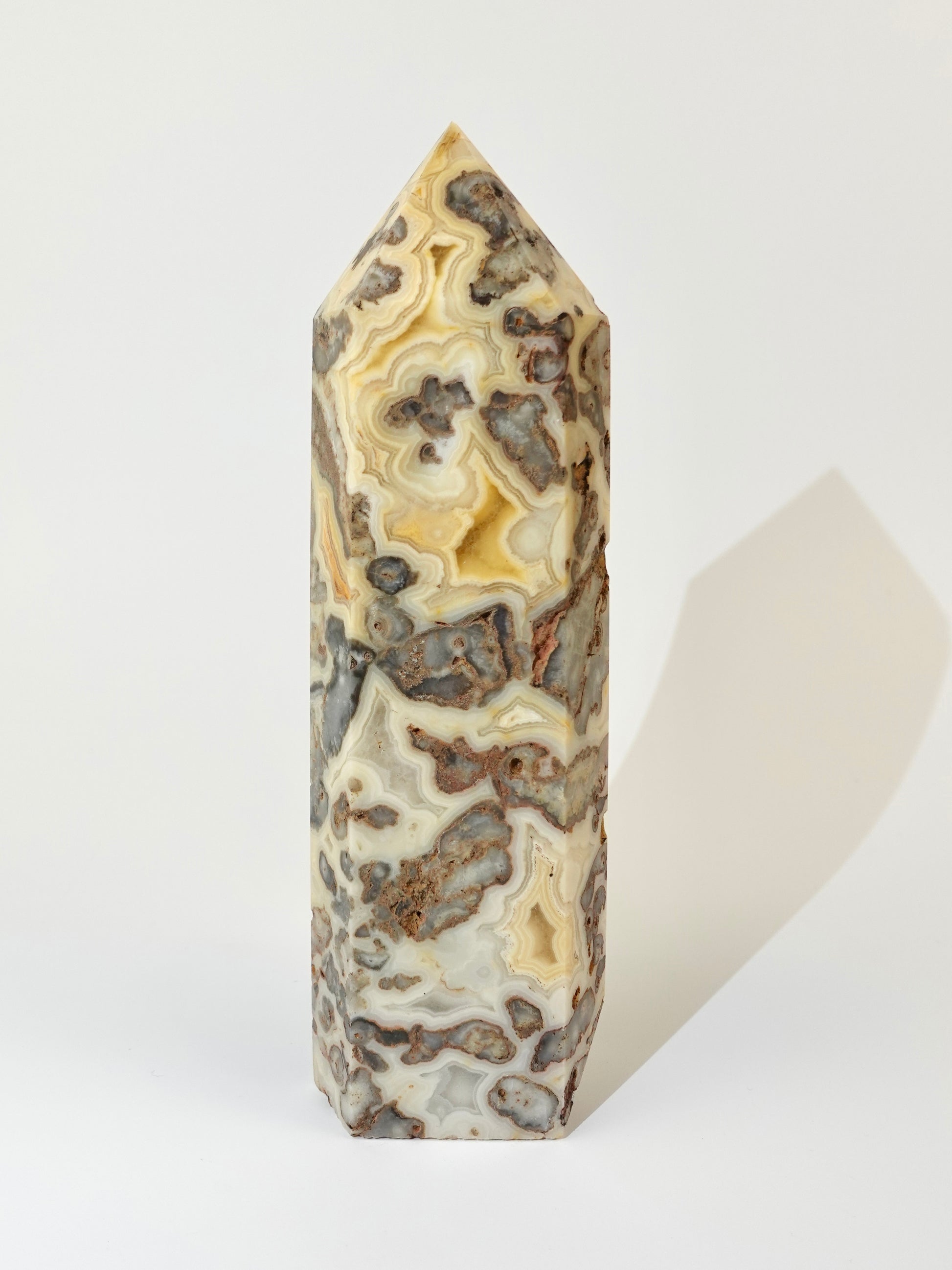 Crazy Lace Tower on white background Option A front