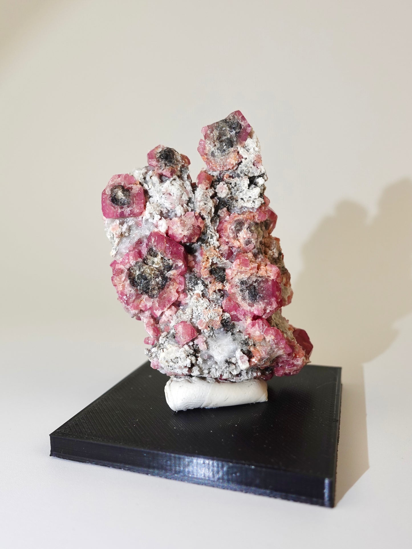 Raspberry Garnet on stand on a white background