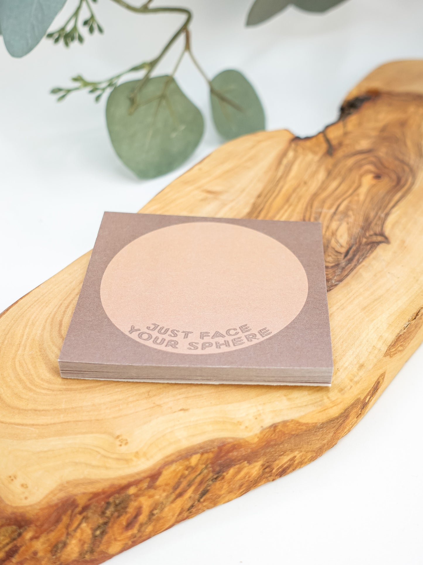 Just Face Your Sphere - Sticky Note Pad