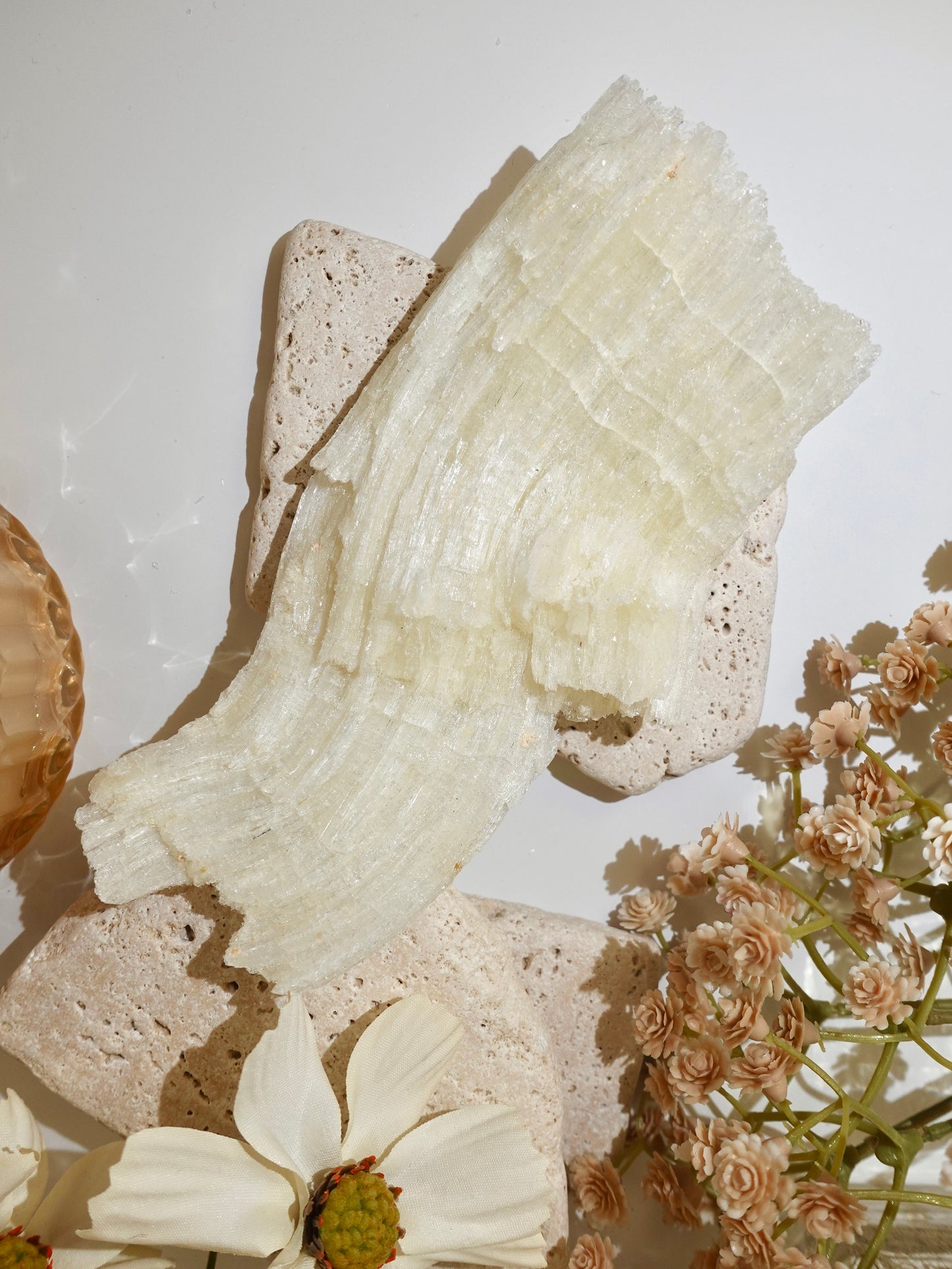 Ram Horn Selenite