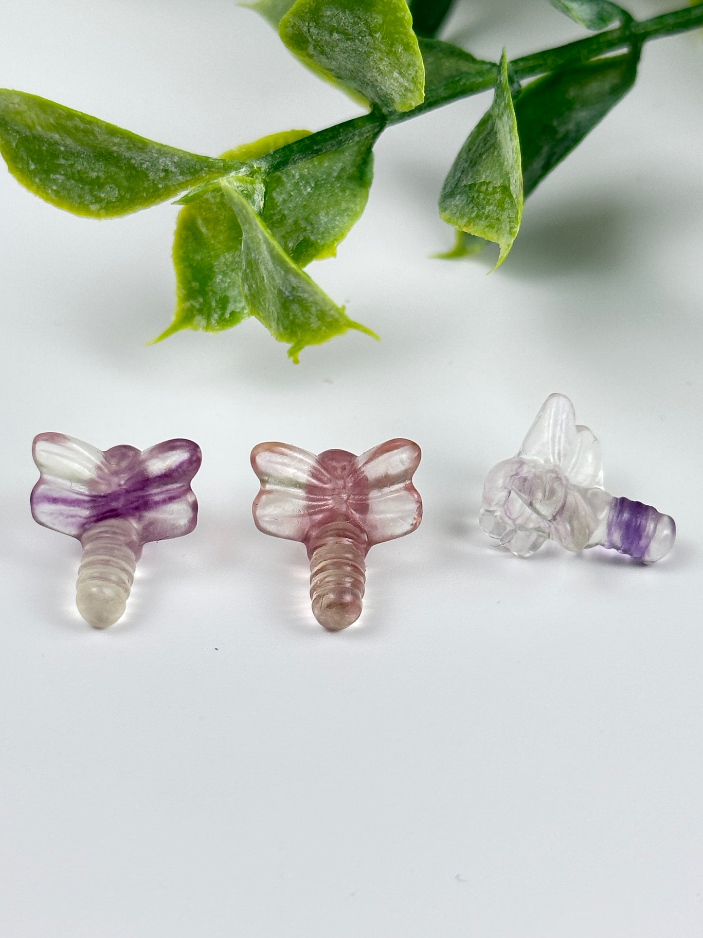 Mini Fluorite Dragonfly Carving