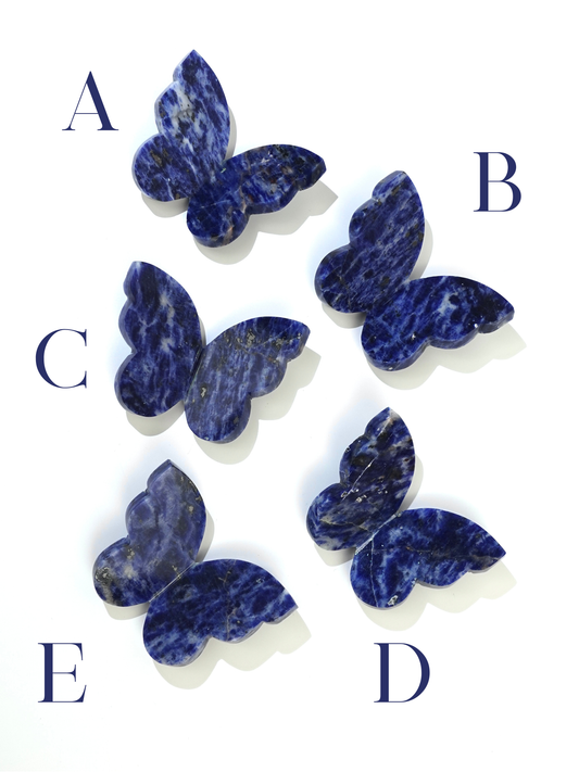 5 Sodalite 3D butterflies label A, B, C,  , and E on white background