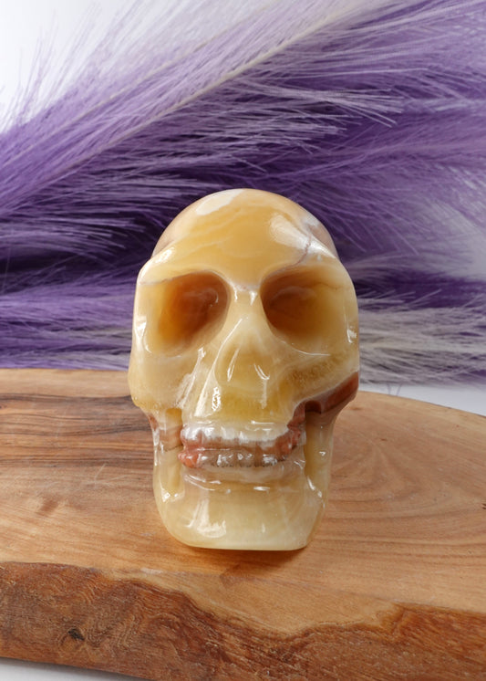 Banded calcite skull option A on wooden display stand