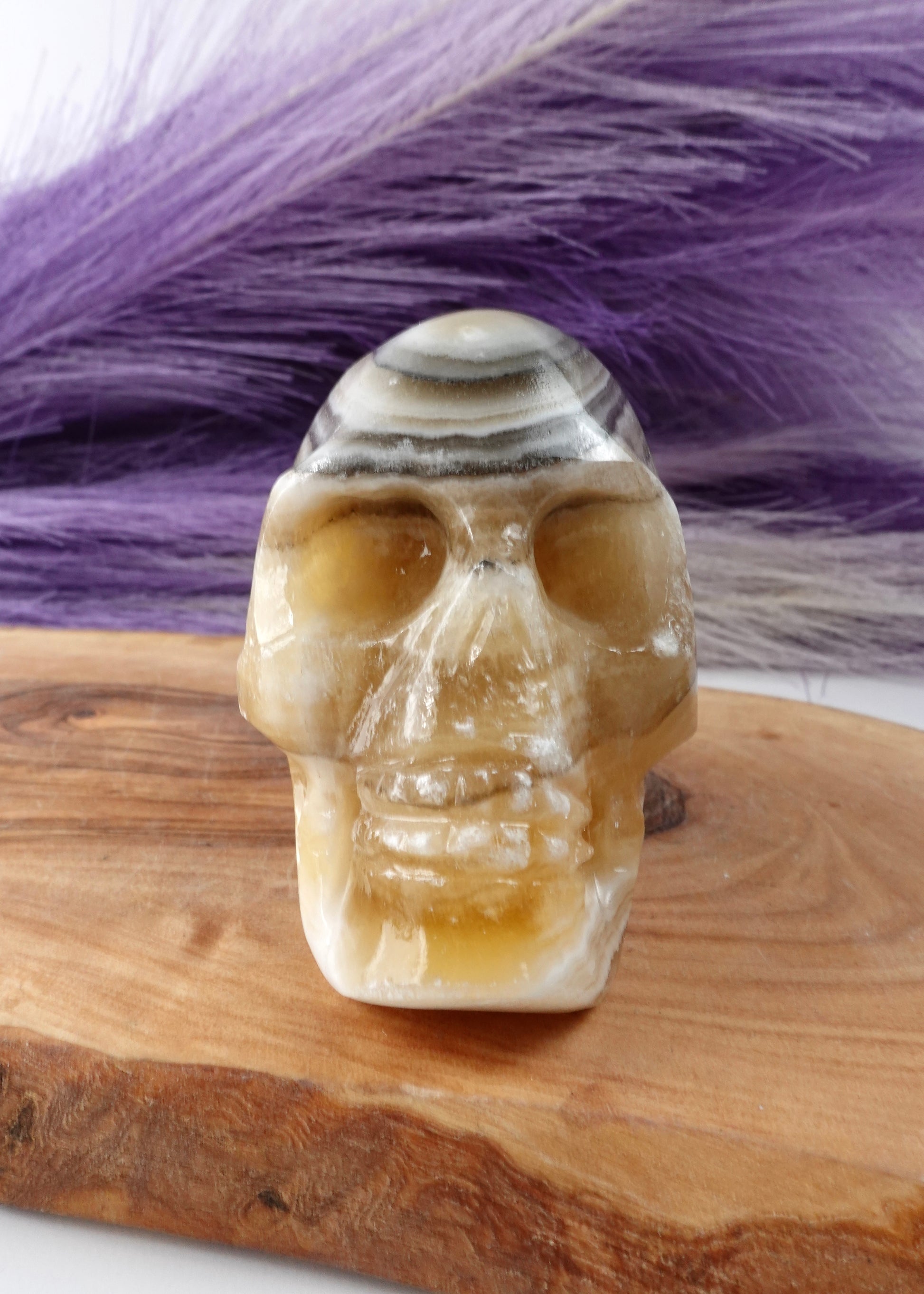 Banded calcite skull option B on wooden display stand