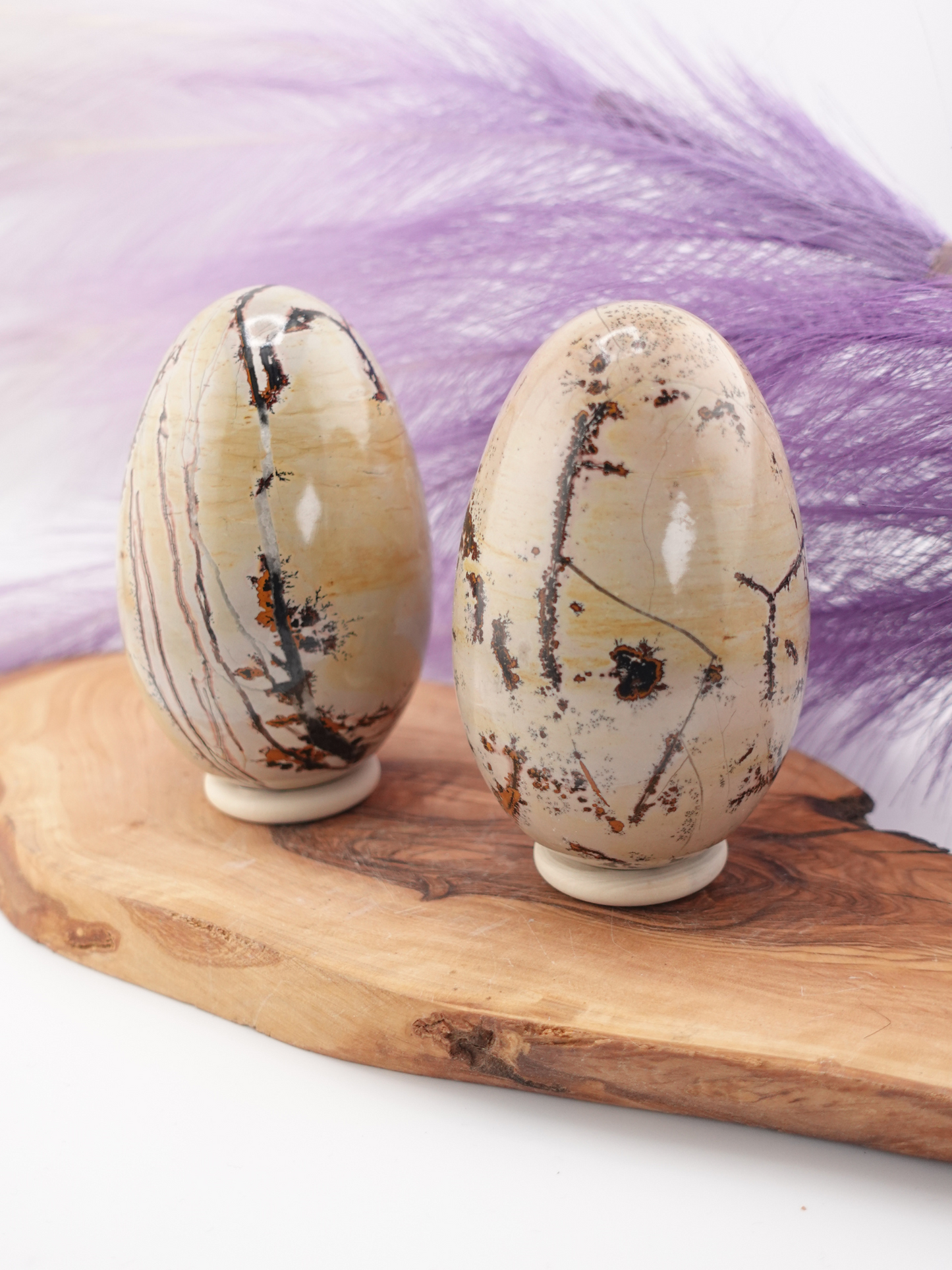 Picture Jasper Egg