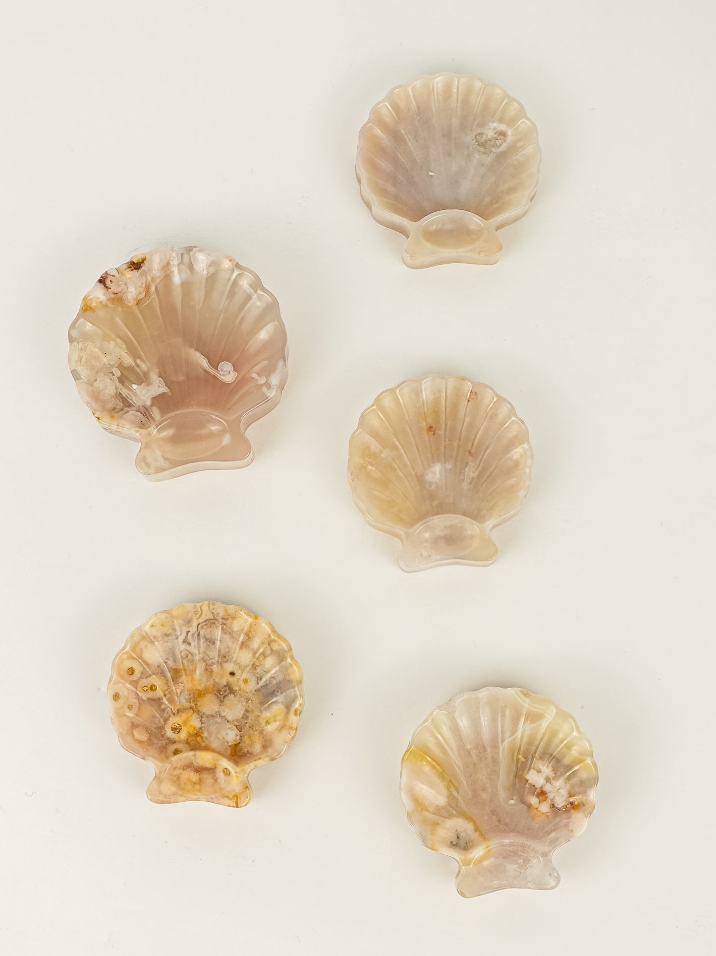 Flower Agate Sea Shell Dish